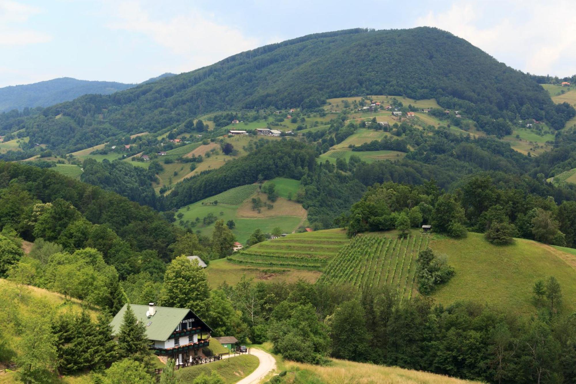 Loče pri Poljčanah 波德奥蕾西旅馆酒店 外观 照片