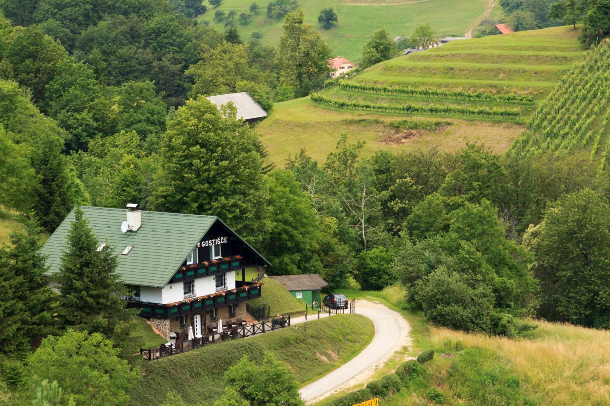 Loče pri Poljčanah 波德奥蕾西旅馆酒店 外观 照片