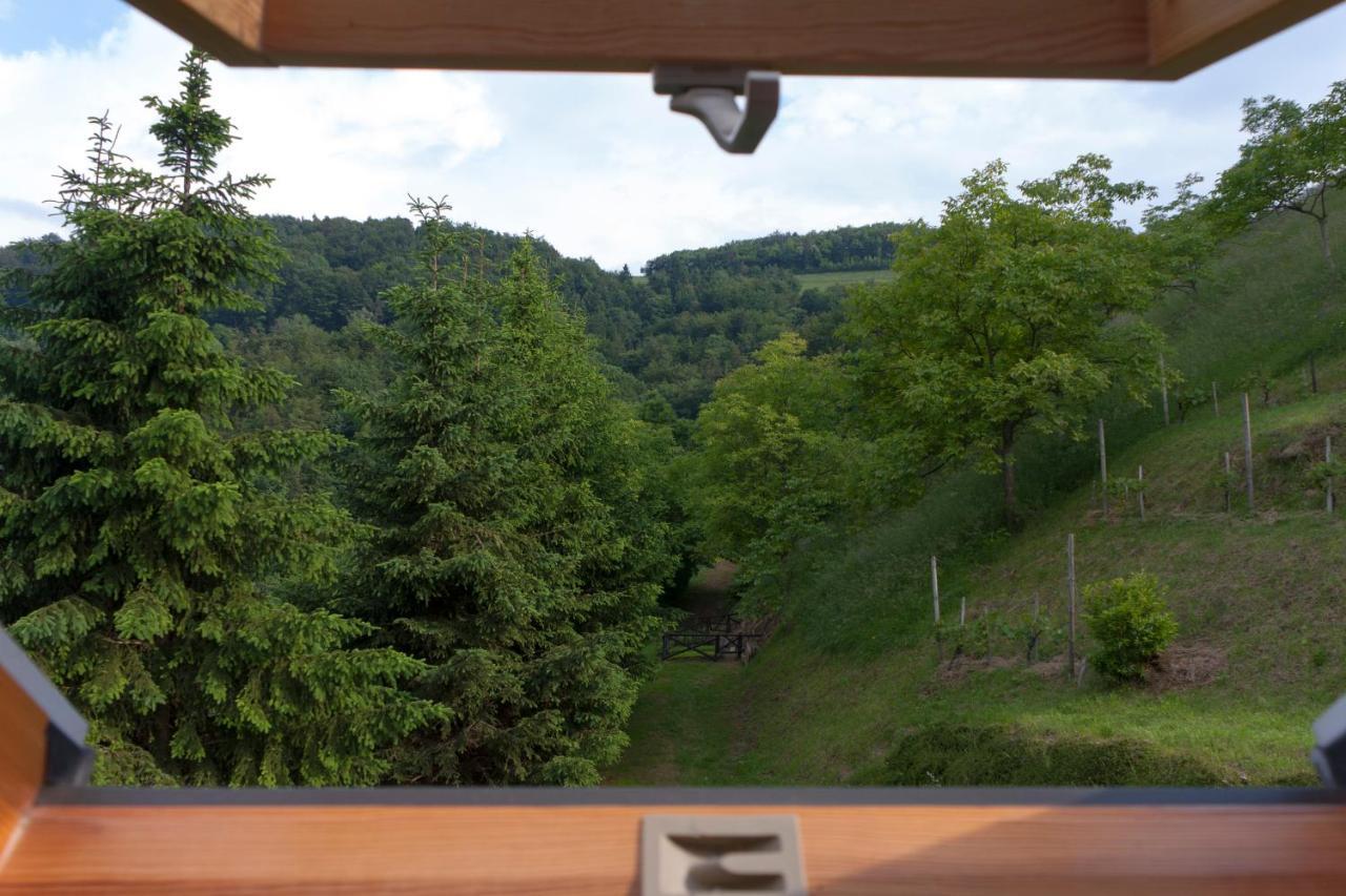 Loče pri Poljčanah 波德奥蕾西旅馆酒店 客房 照片